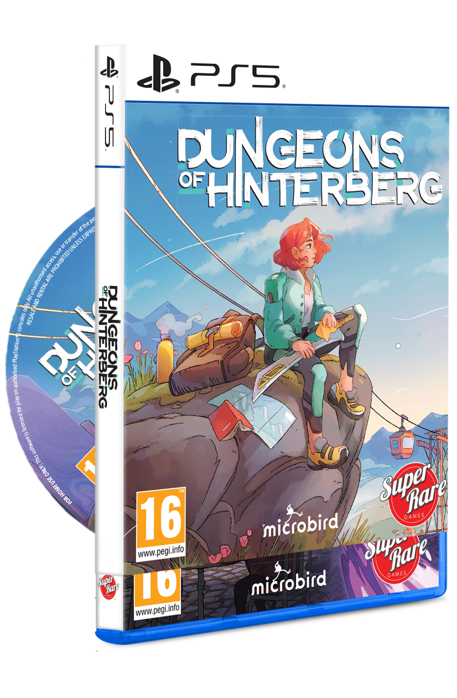 PS5 #20: Dungeons of Hinterberg (PS5)